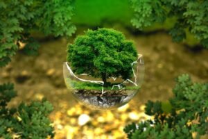 Aplinkos išsaugojimas: Svarba, būdai, patarimai
