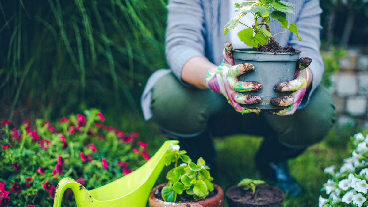 Atraskite sodininkystės naudą psichinei ir fizinei sveikatai