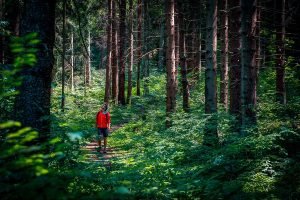Miško maudynių nauda sveikatai: ryšys su gamta ir sveikatingumas